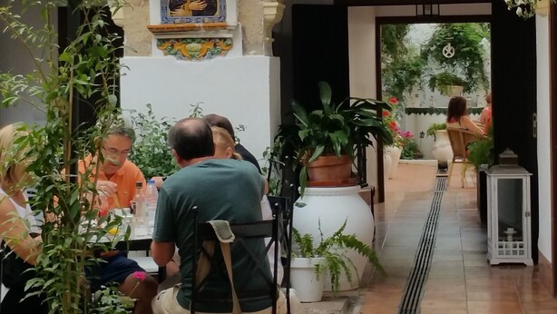 Une cour où des personnes sont assises à des tables, entourées de plantes en pot et dotée d’un sol carrelé.
