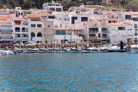 Paseos en bote
