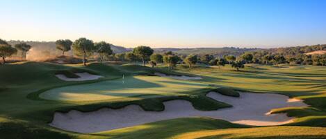 Un parcours de golf avec des bunkers de sable, des arbres et un ciel dégagé.