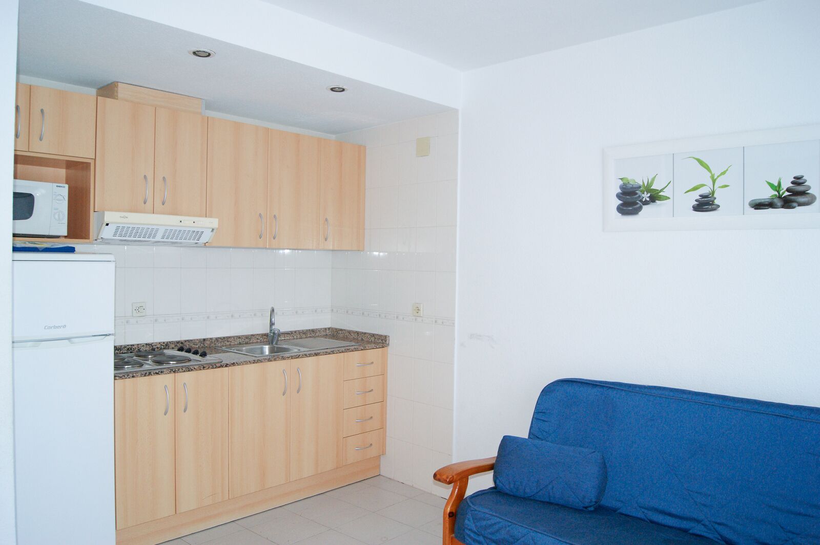 A compact kitchen with wooden cabinets, a built-in microwave, and a sink. There is a blue sofa against the wall and a small plant display.