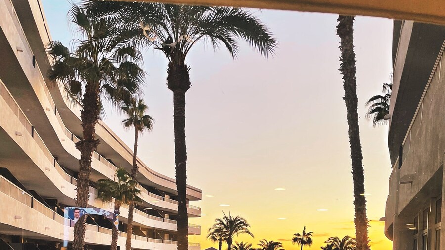 Apartamentos Palmera Beach