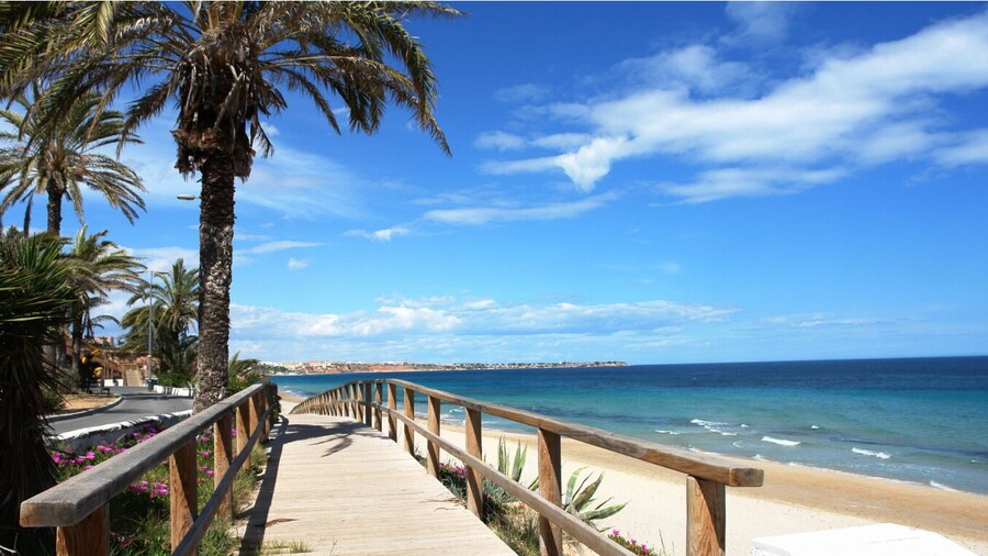 Apartamentos Palmera Beach