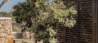 Binissaida Boutique Hotel