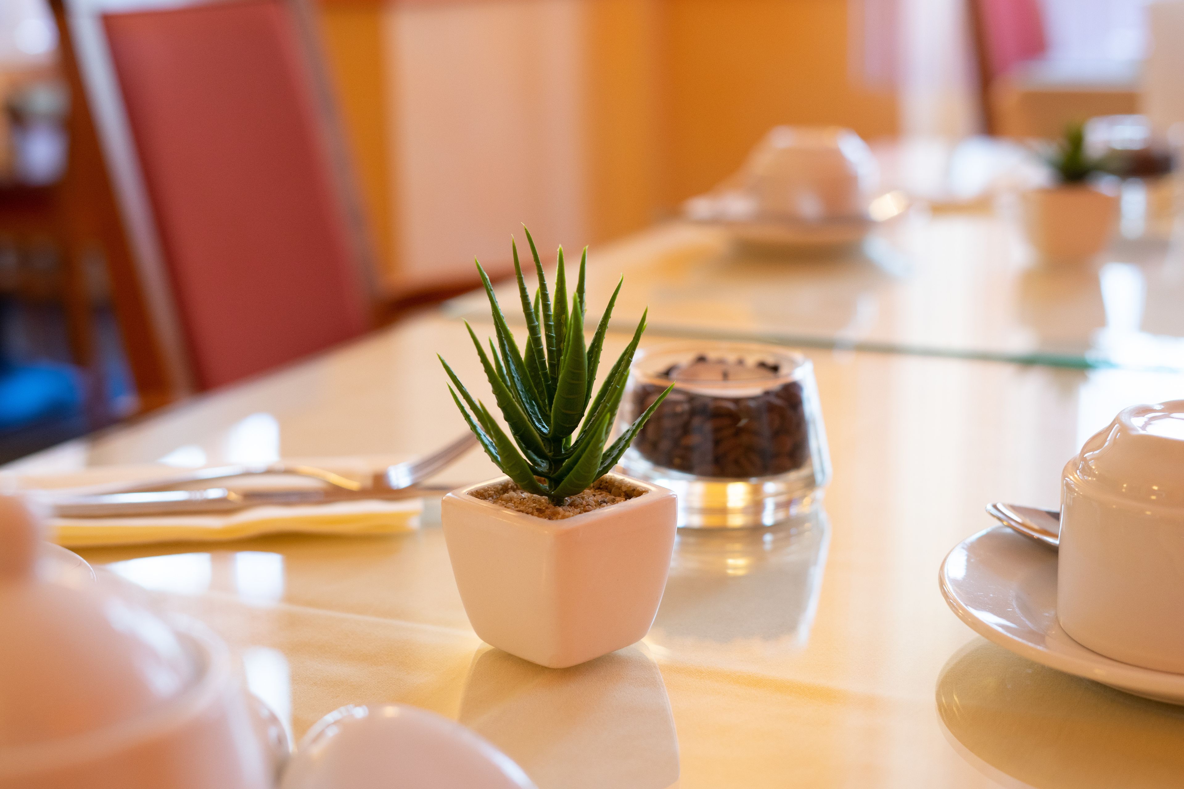 Una mesa de comedor con una pequeña planta en maceta, un salero y pimentero, y una tetera.