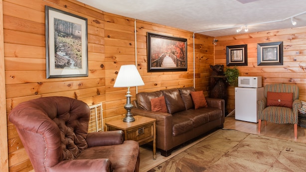 L’intérieur chaleureux d’un chalet avec des murs en bois, un canapé en cuir, un fauteuil rembourré, une petite table avec une lampe et un four à micro-ondes.