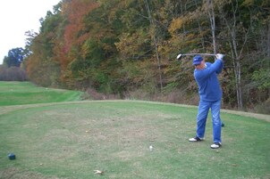 A person in blue attire playing golf on a green field with trees in the background.