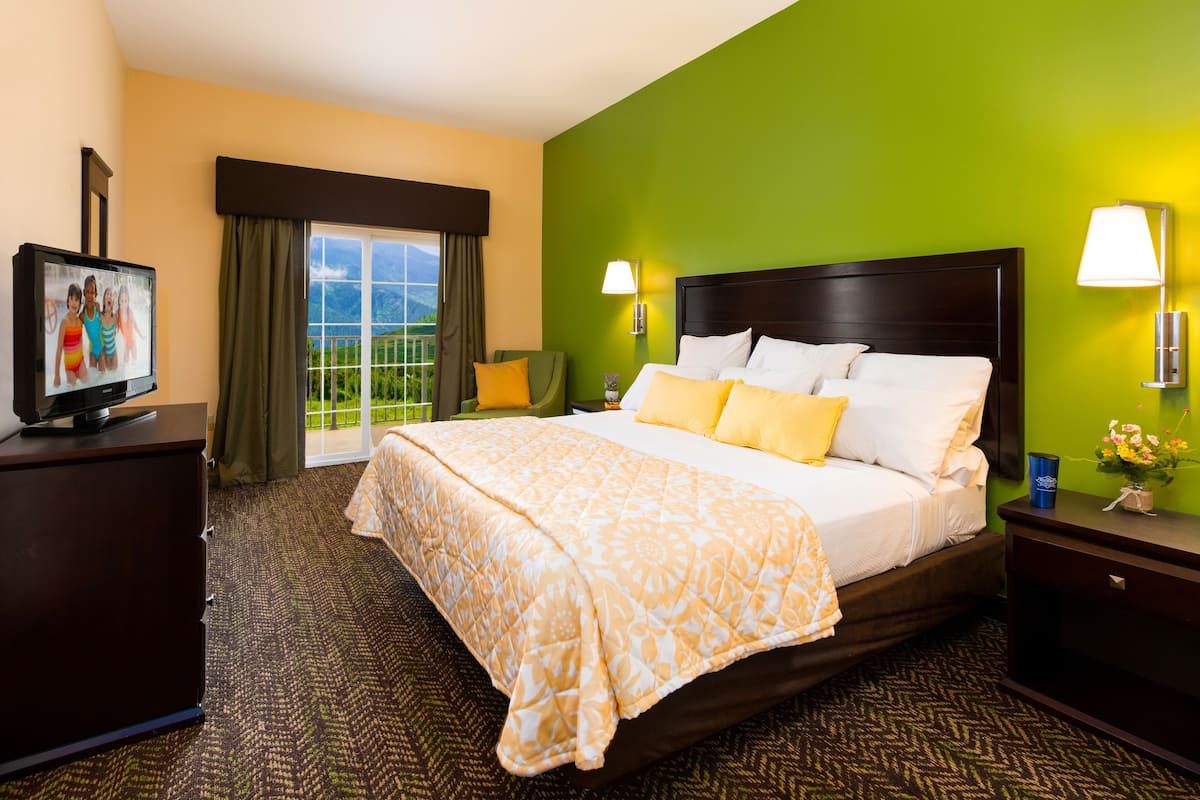 Habitación de hotel con una cama grande, paredes verdes, un televisor en una cómoda y vistas al exterior.