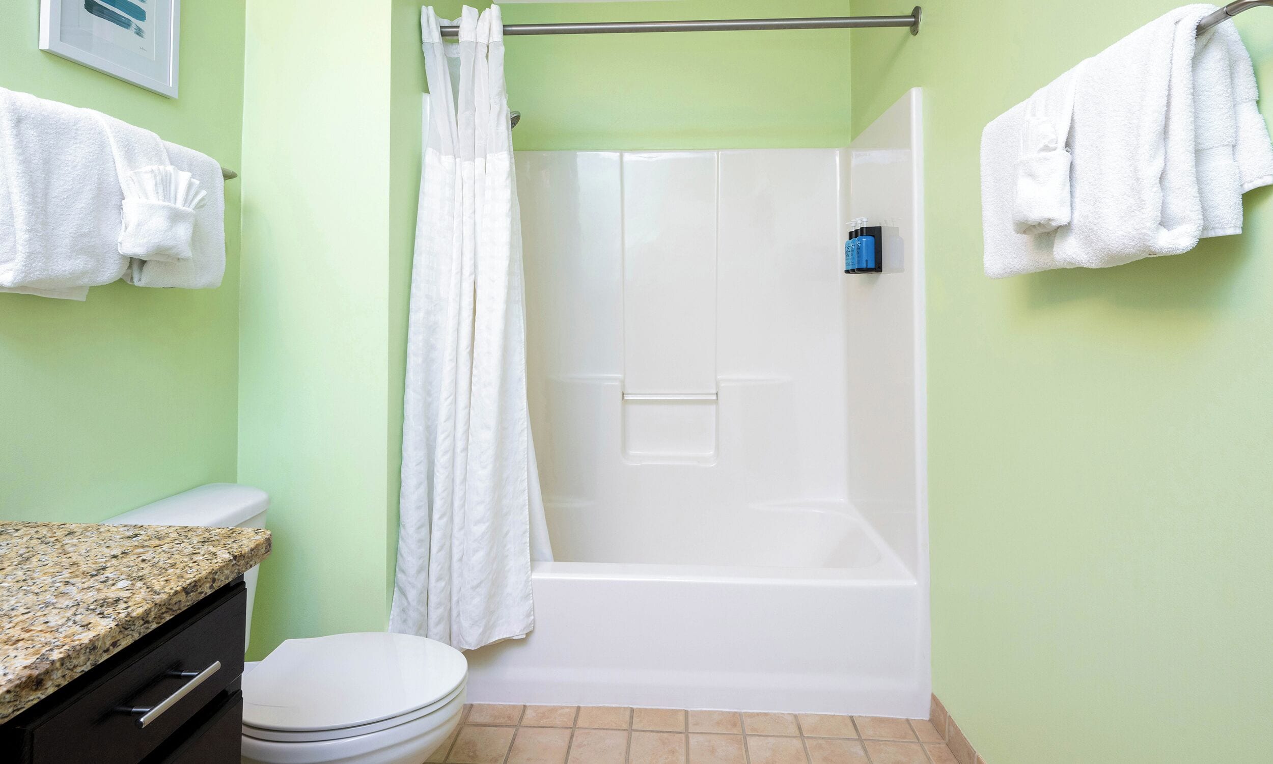 A bathroom with a shower, toilet, and granite countertop.