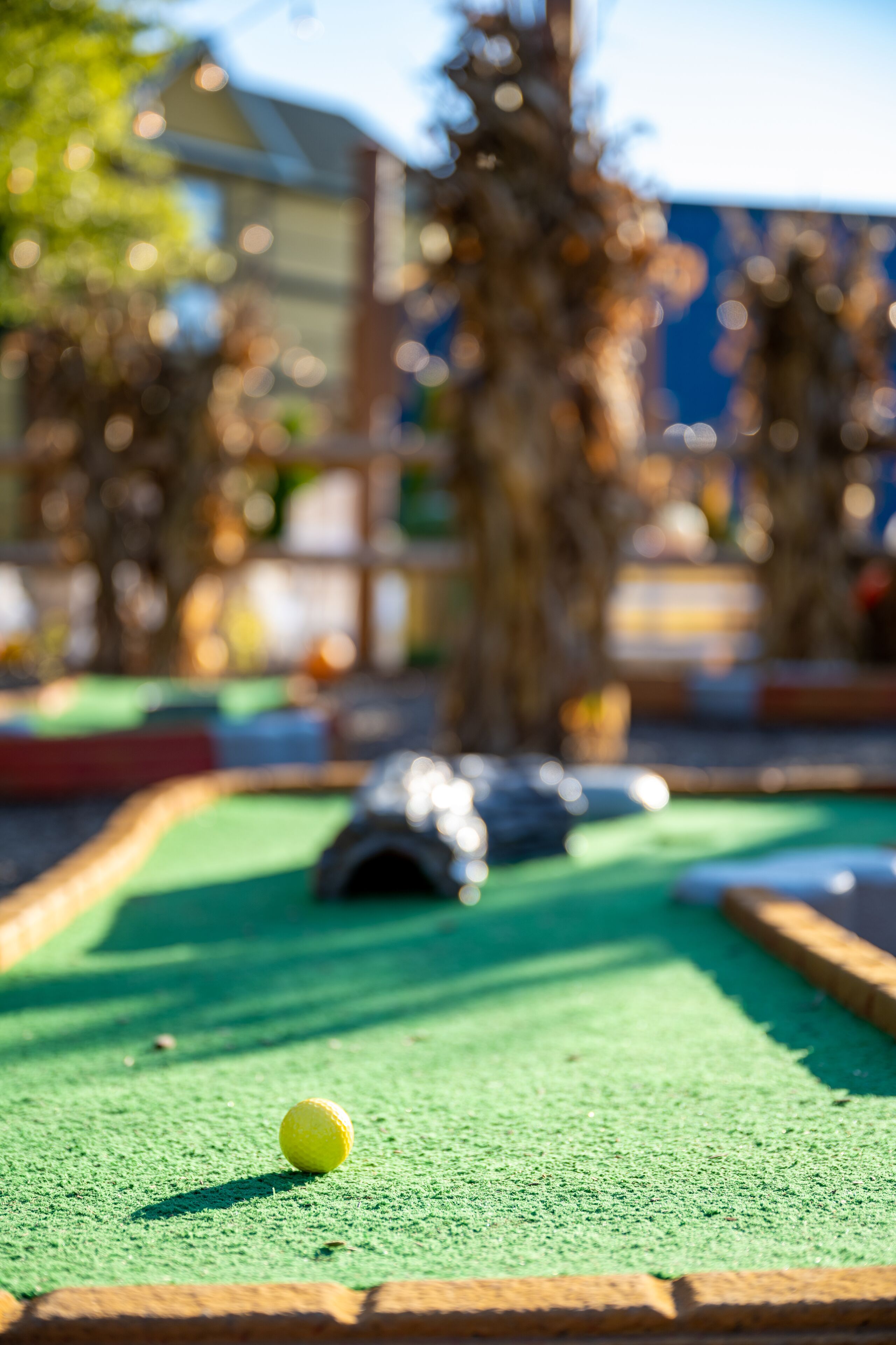 mini-golf