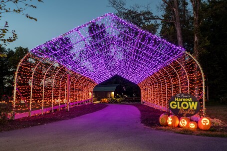 The Resort at Governor's Crossing - Image 17