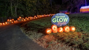 A sign for 'The Harvest Glow' event with illuminated pumpkins and a pathway lined with lights. - The Resort at Governor's Crossing (Sevierville)