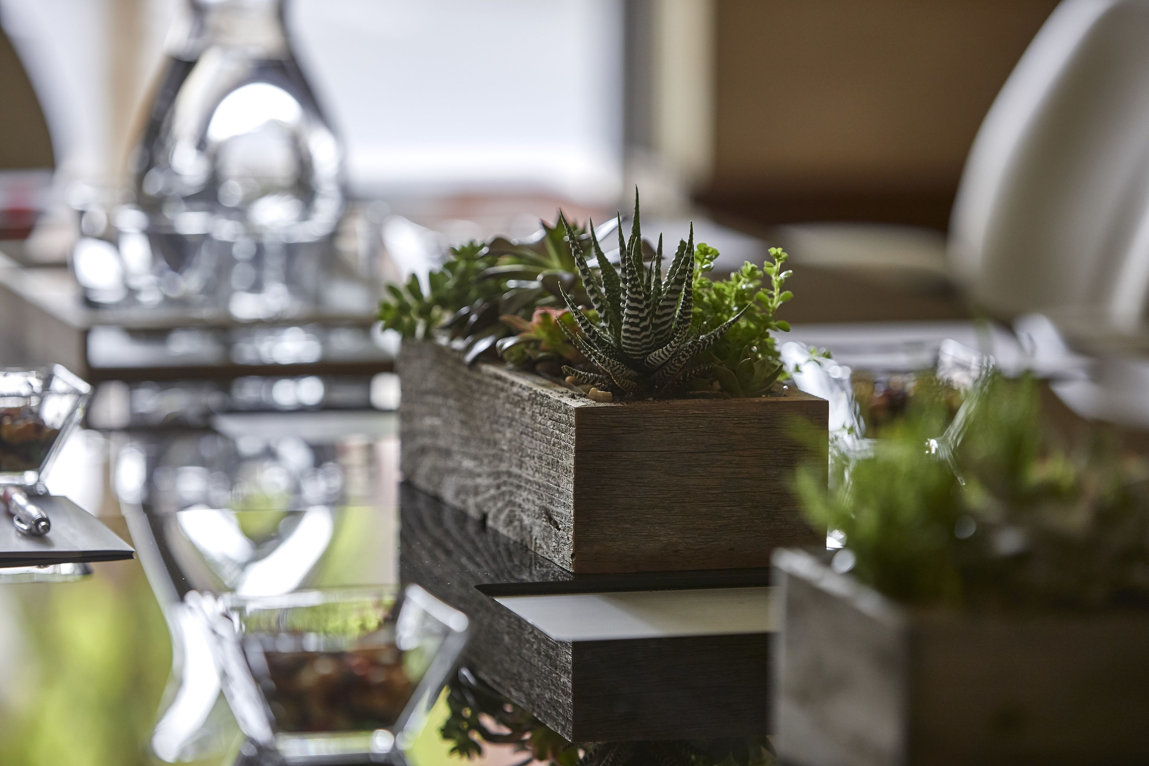Una jardinera de madera con suculentas sobre una mesa.