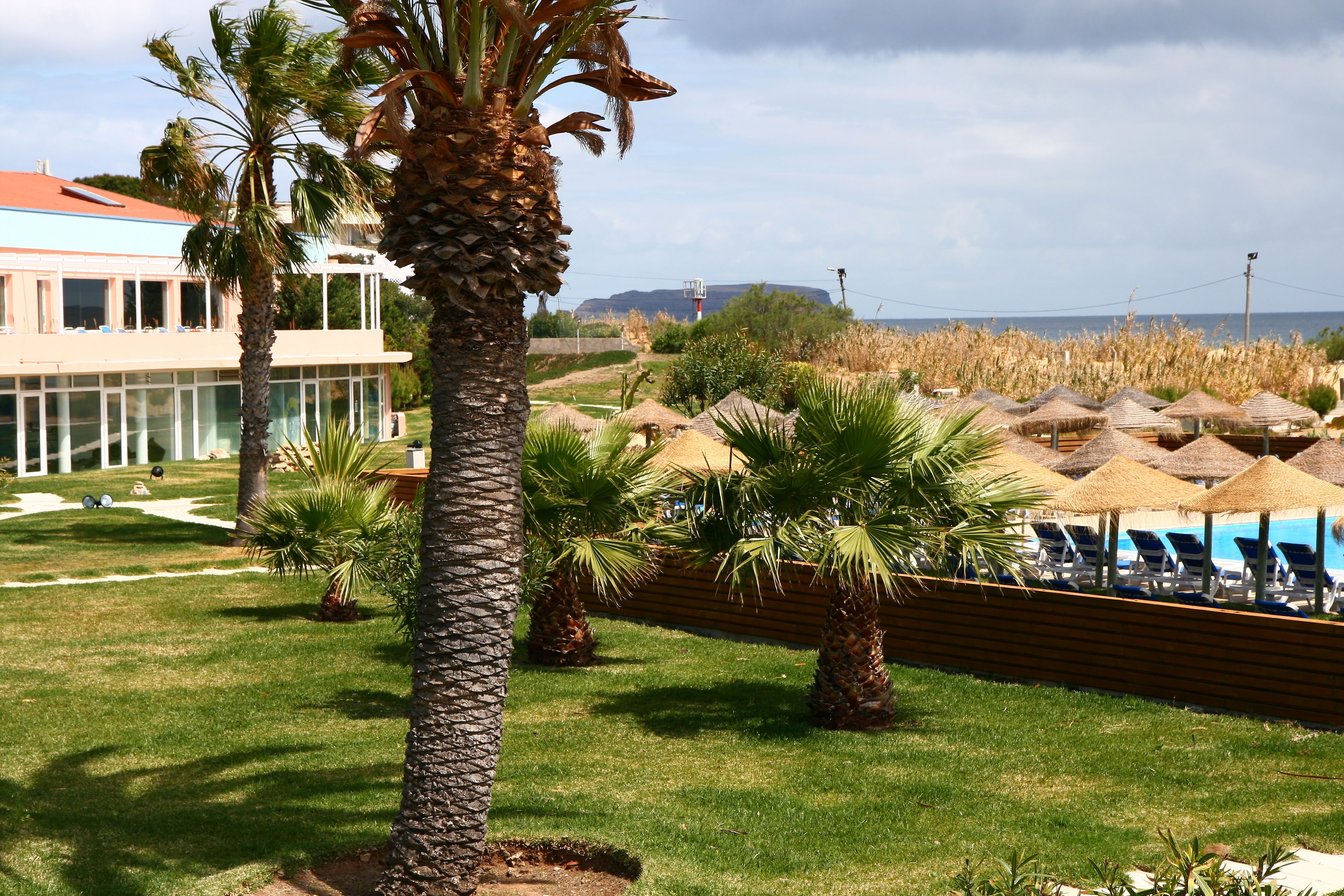 Foto - Vila Baleira Porto Santo