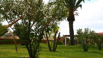 Un área verde bien cuidada con varios árboles, incluyendo una destacada palmera.
