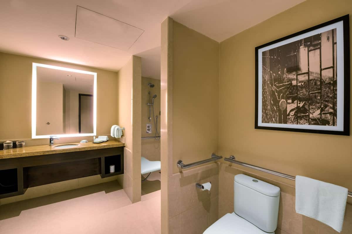 Room, 1 King Bed, Accessible | Bathroom shower