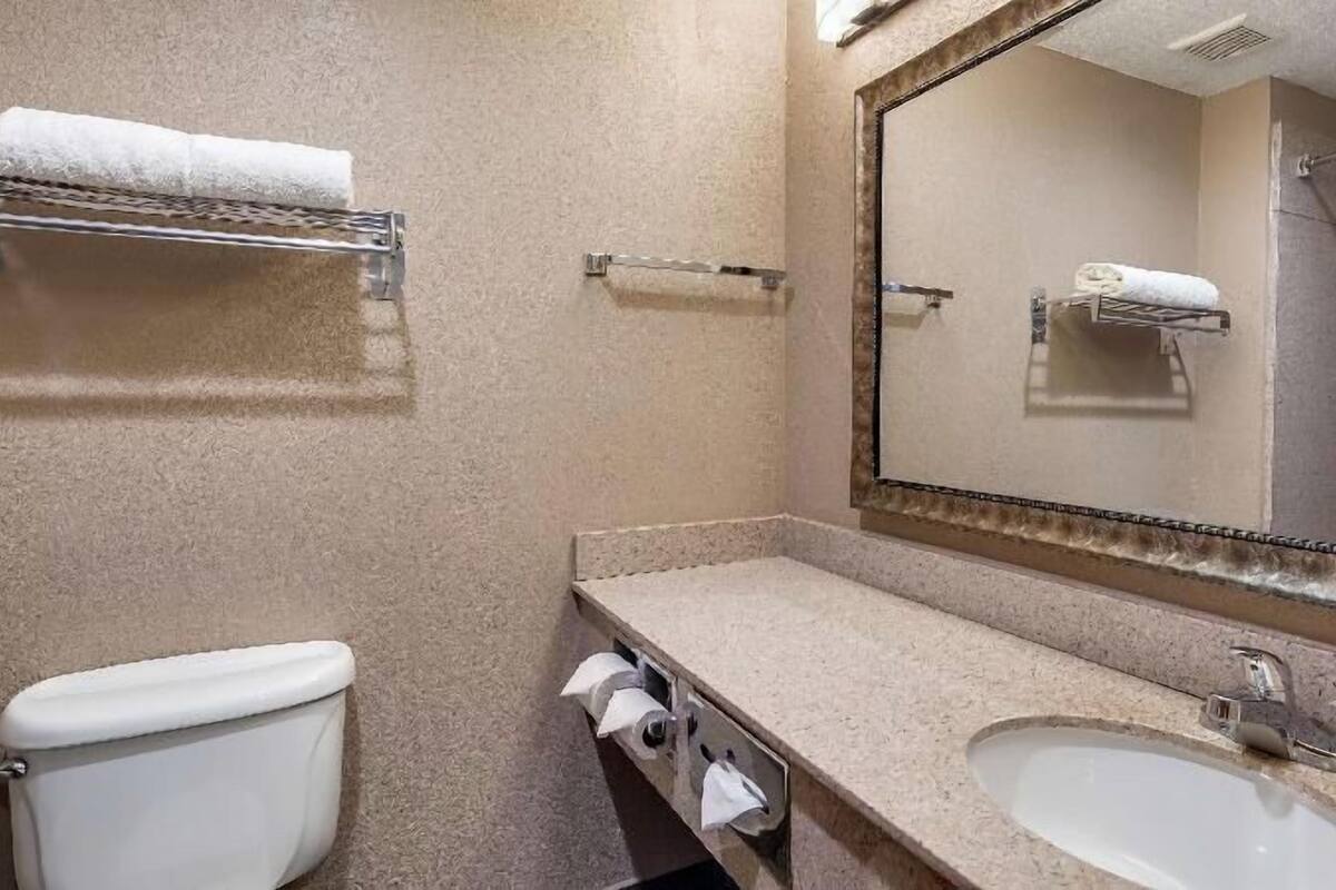 A bathroom with a toilet, sink, towel rack, and mirror.