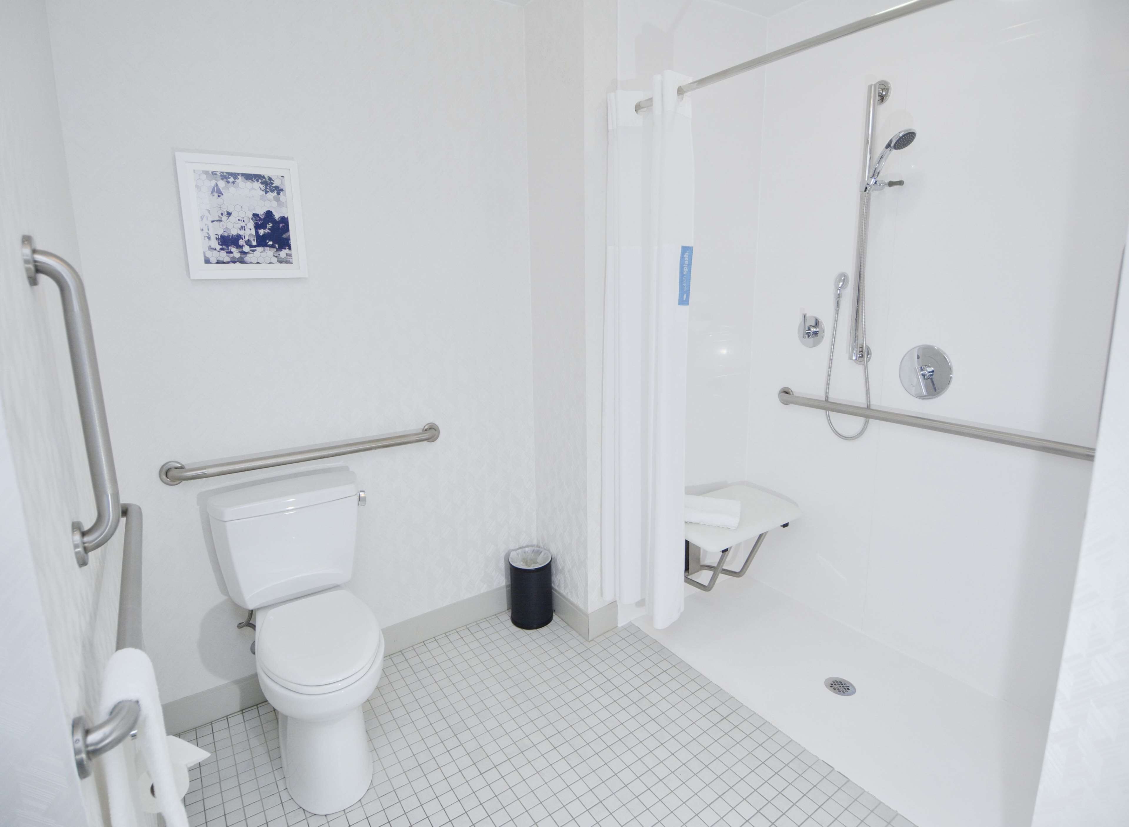 room, 1 king bed, accessible (roll-in shower) | bathroom shower