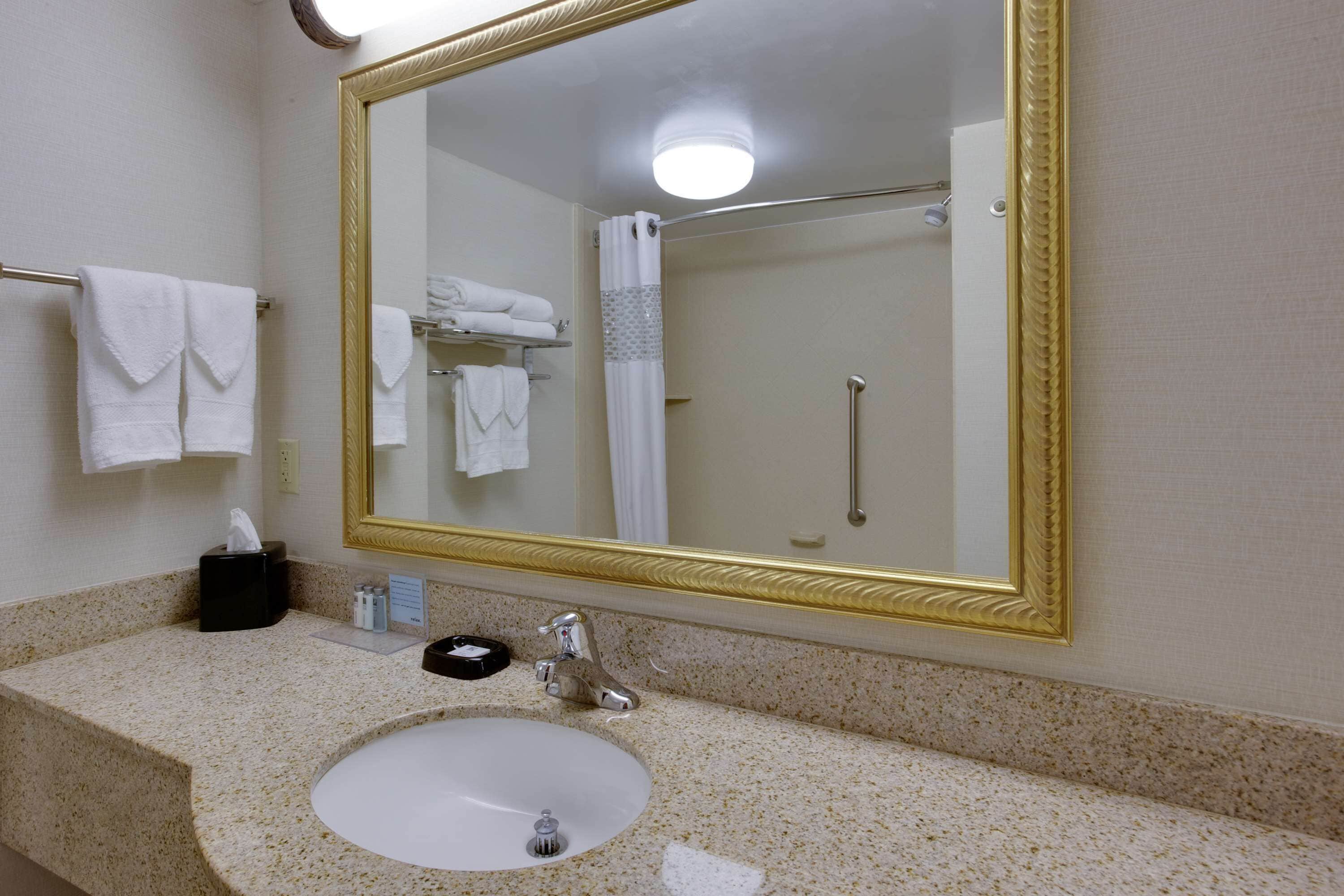 room, 1 king bed, accessible, bathtub (mobility & hearing) | bathroom | hair dryer, towels