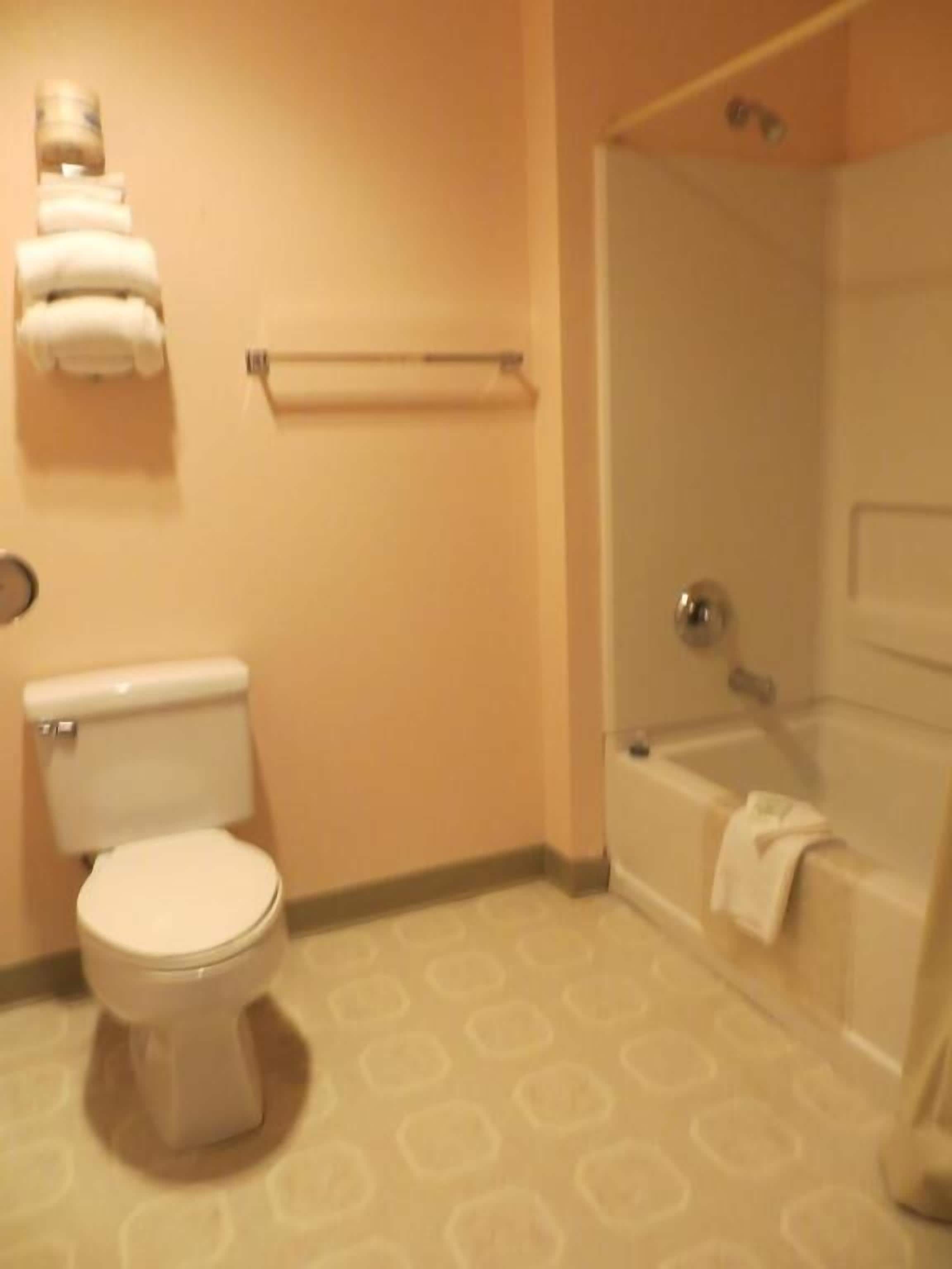 A bathroom with a toilet, a towel rack, and a bathtub.
