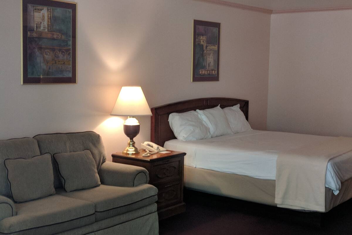 Habitación de hotel con una cama, una mesita de noche con lámpara, un teléfono y un sofá. Hay dos cuadros enmarcados en la pared.