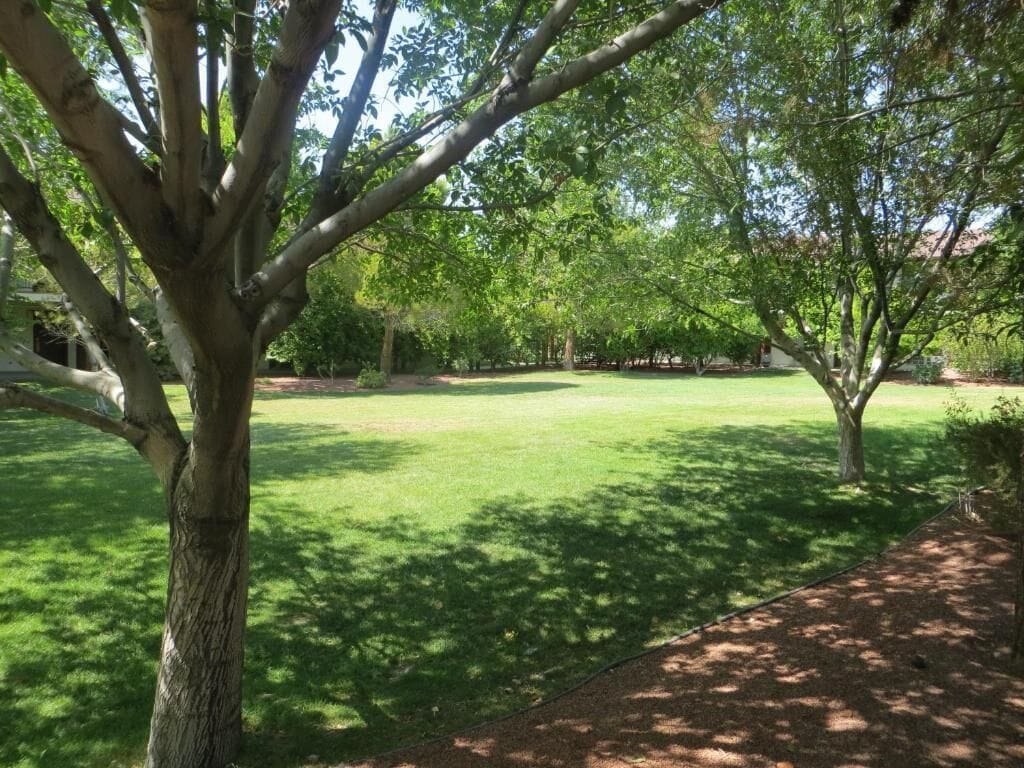 Un parc doté d’une pelouse bien entretenue et d’arbres qui offrent de l’ombre.