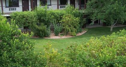 Saddle West Hotel and Casino and RV Park