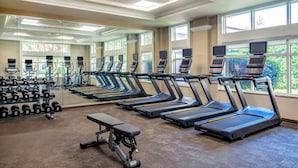 A gym with treadmills, dumbbells, and a bench.