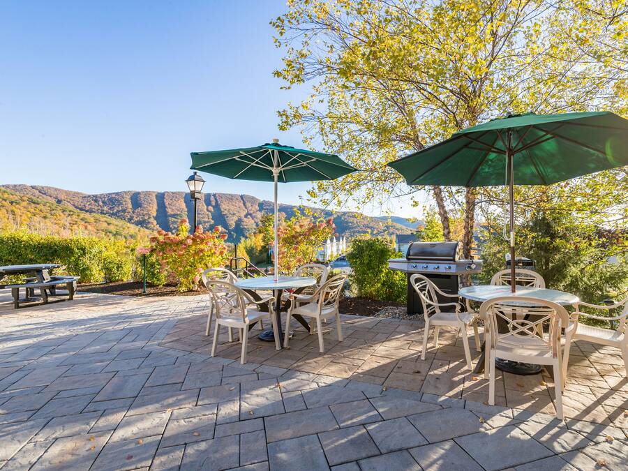 An outdoor patio with a stone floor, picnic tables, and chairs, surrounded by trees and a view of mountains.