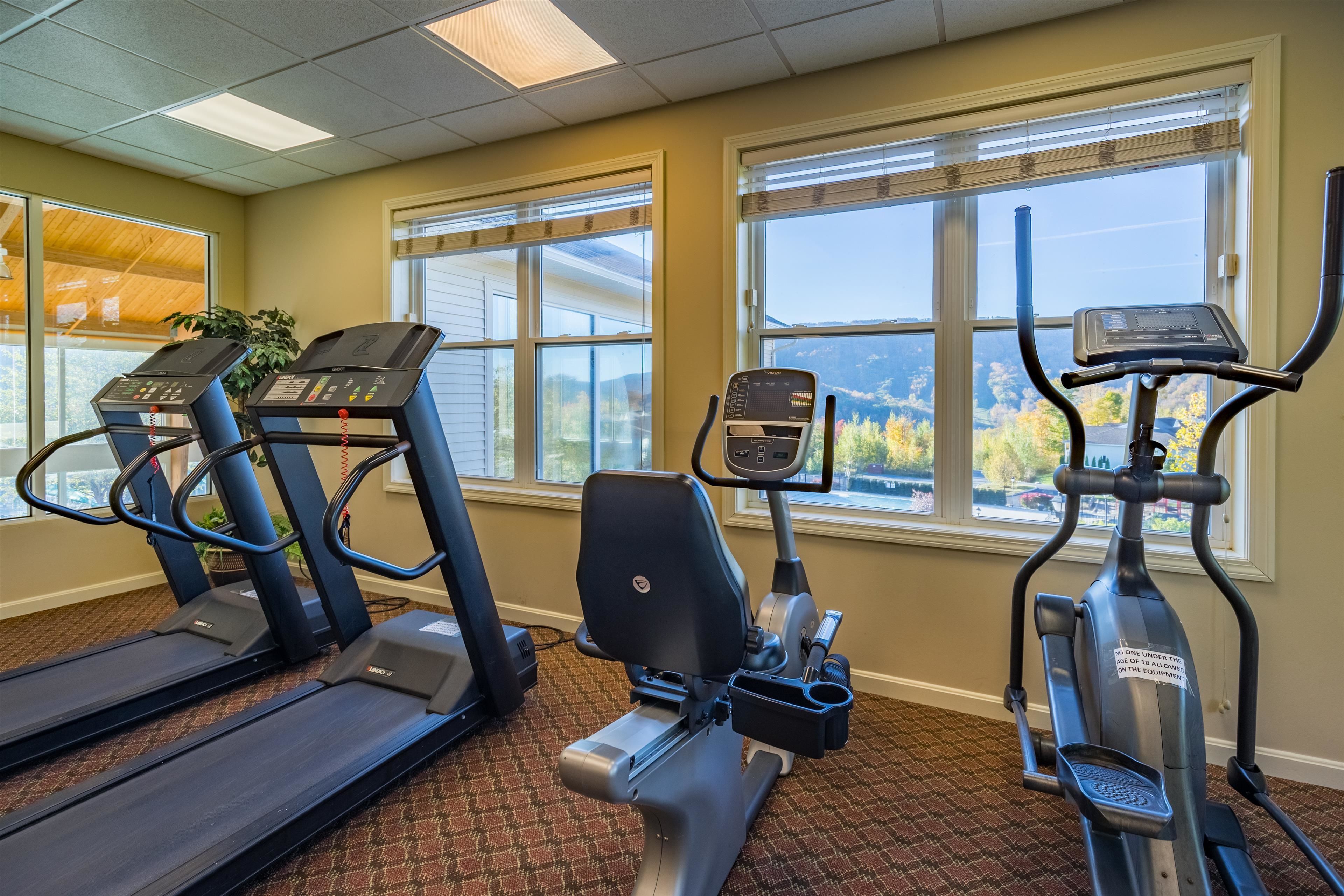 Ein Fitnessstudio mit Laufbändern, Crosstrainern und einem Ergometer, mit großen Fenstern und Blick ins Freie.