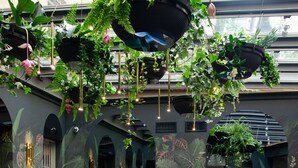 A modern indoor dining area with hanging planters, comfortable seating, and a glass coffee table. - Hotel Atrium (Kraków)