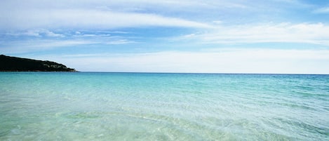 On the beach