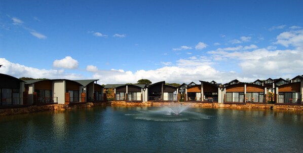 Studio, One King Bed, Lake View | Lake view
