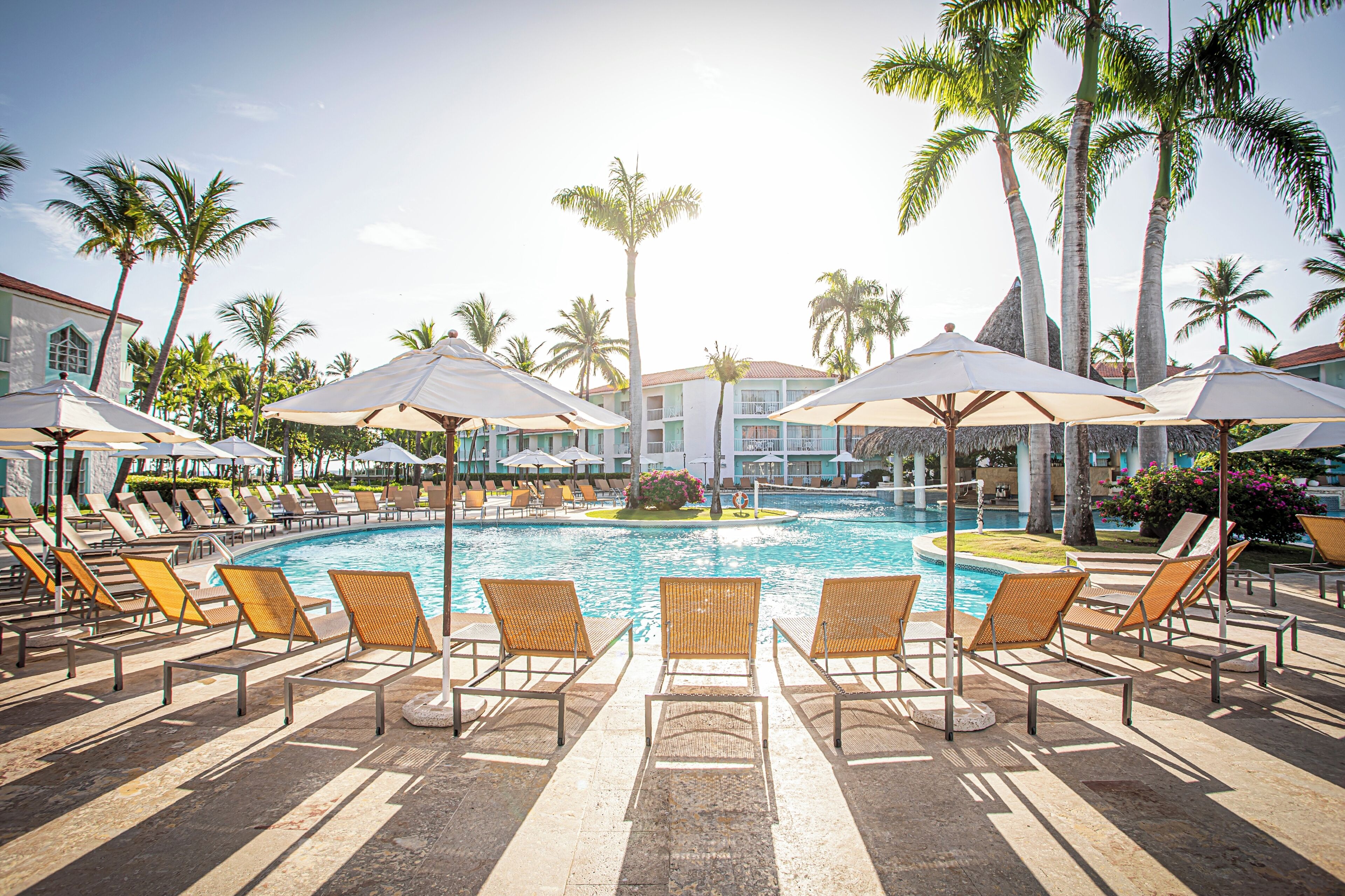 A poolside area with lounge chairs and umbrellas, surrounded by palm trees and a clear sky.