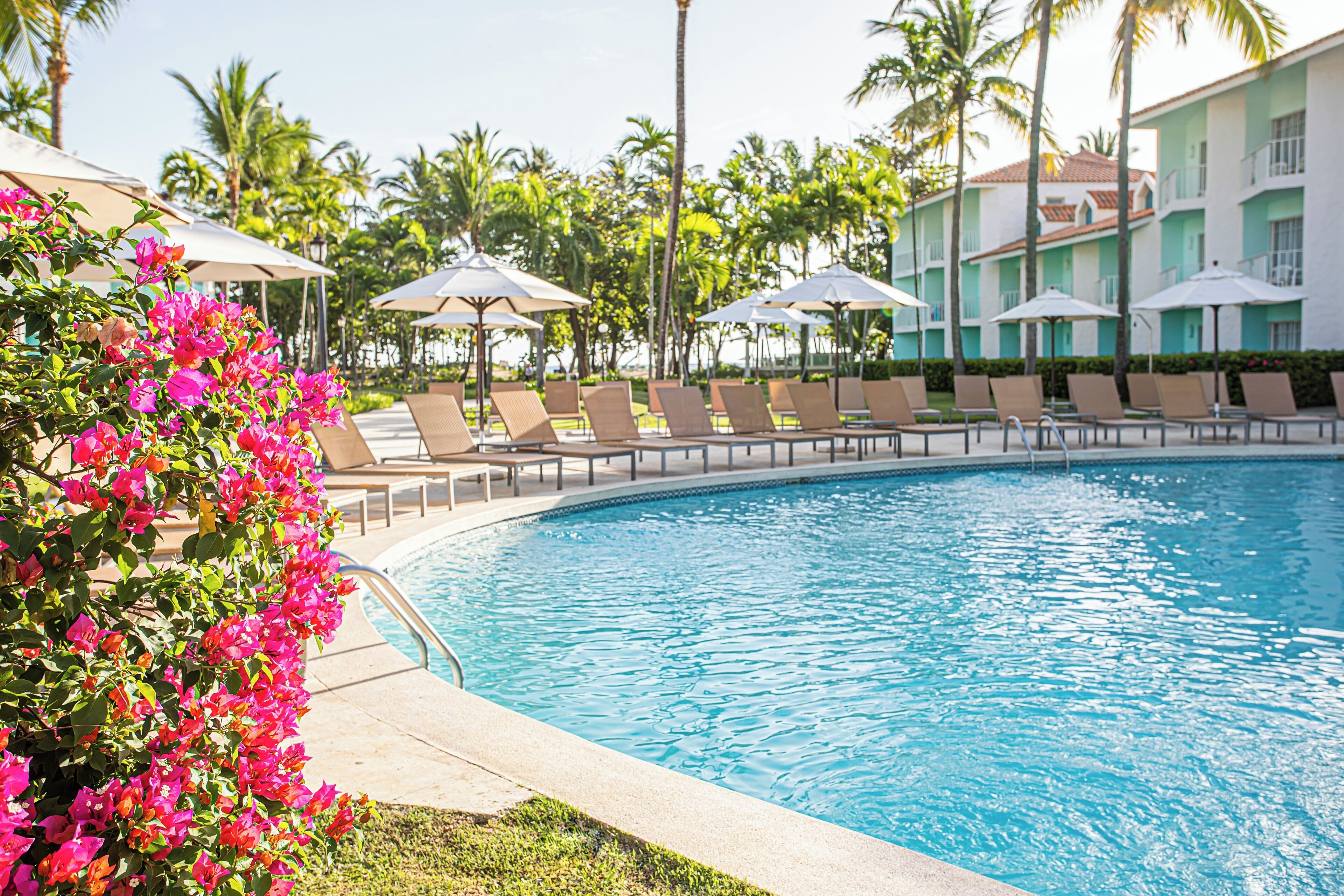 A swimming pool with lounge chairs and umbrellas, surrounded by palm trees and a building with balconies.