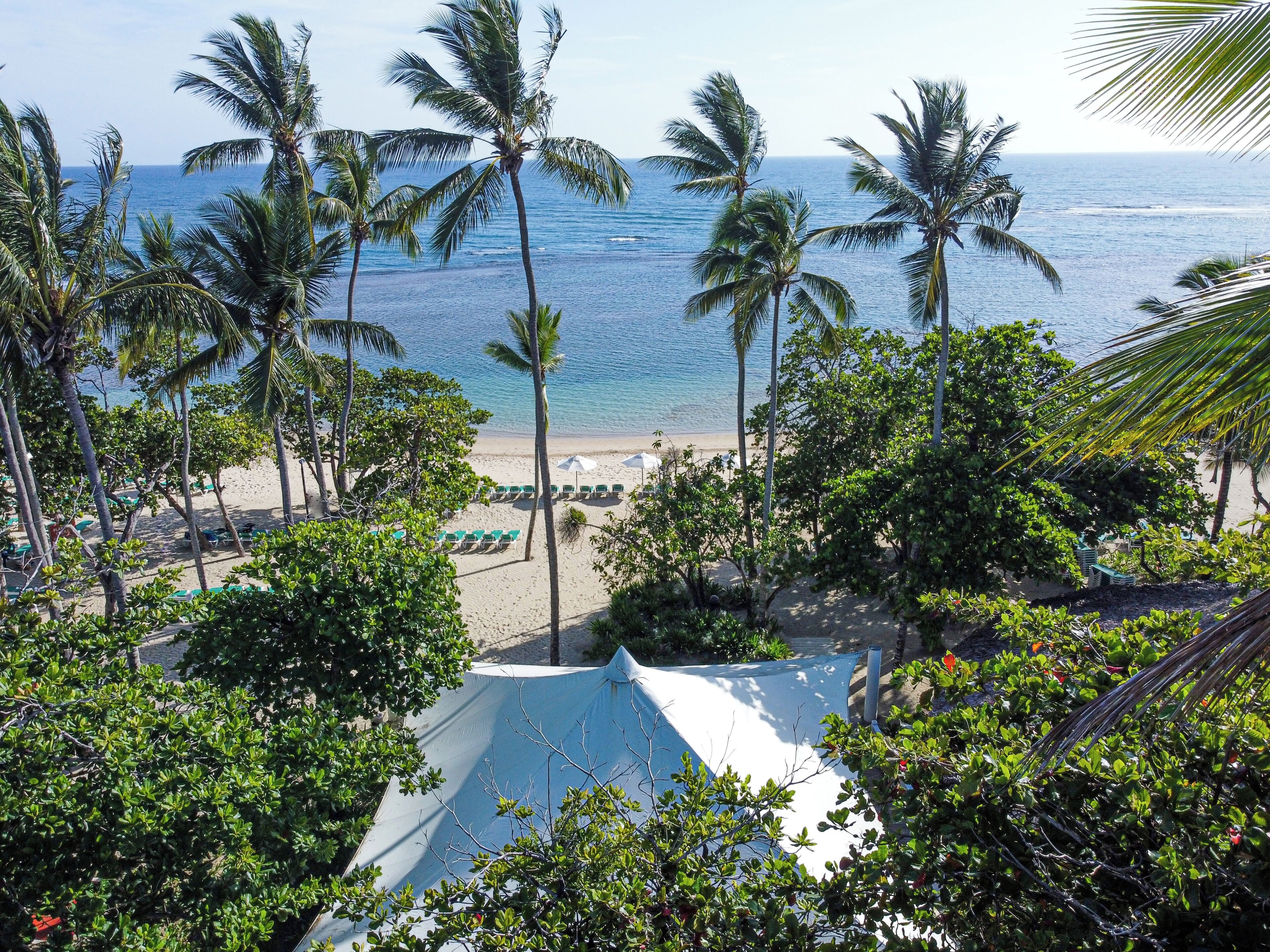 Vista de una playa con palmeras, arena dorada y un océano azul y despejado.