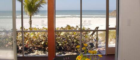 Beach nearby, white sand, sun loungers, beach umbrellas