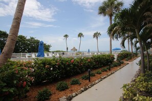 One Bedroom Pool View | View from room - Silver Sands Gulf Beach Resort by RVA (Longboat Key)