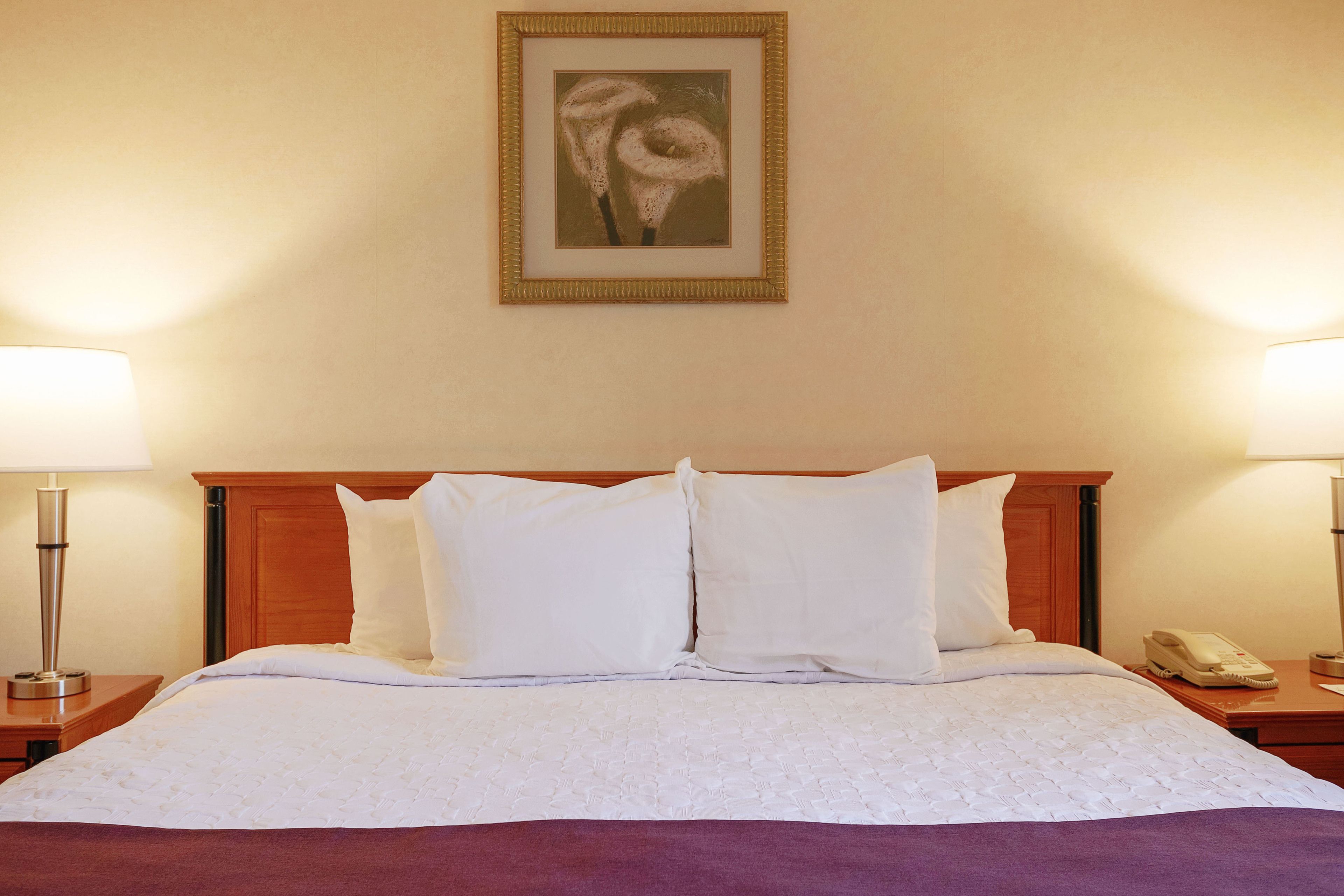 standard room, 1 king bed | in-room safe, desk, iron/ironing board, free wifi