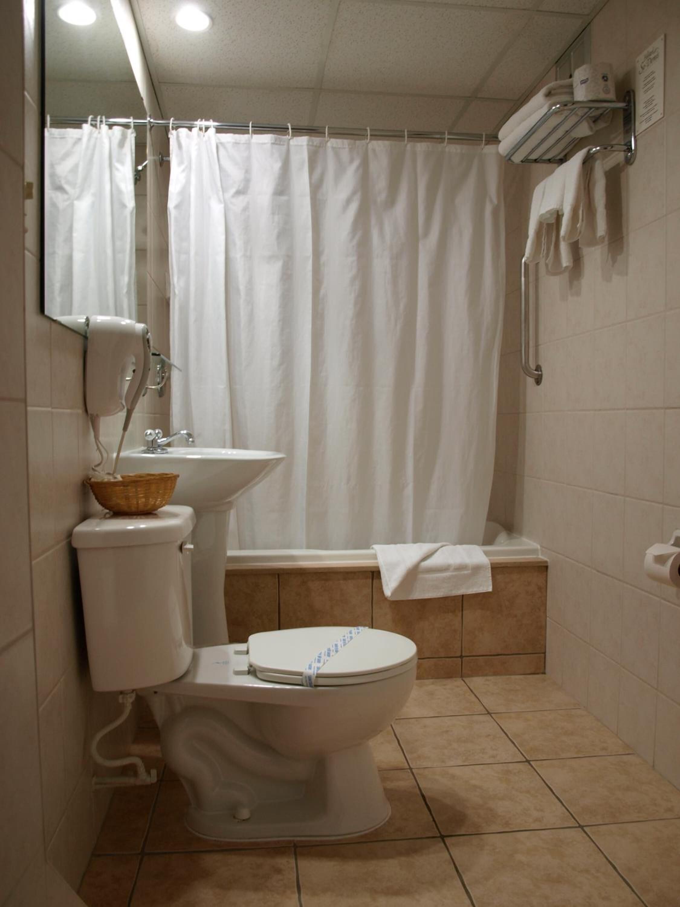 combined shower/bathtub, hair dryer, towels
