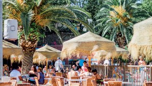 Un espace extérieur aménagé avec de nombreuses places assises, doté de parasols en chaume et de chaises en osier, le tout entouré de palmiers.