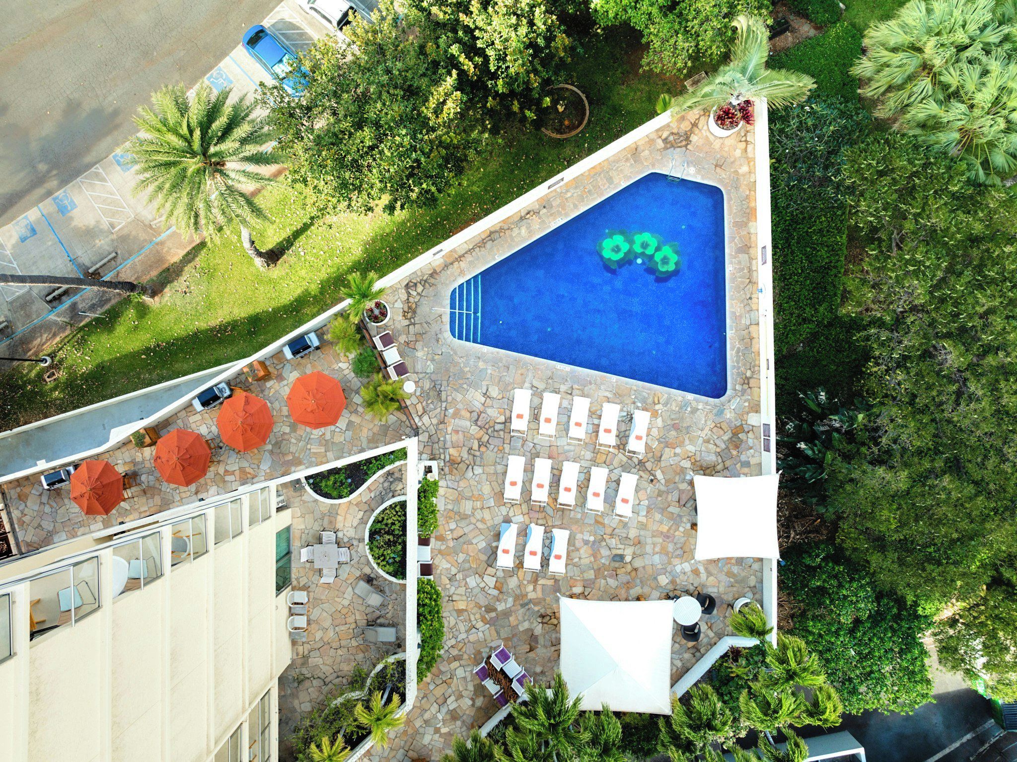 A rooftop pool area with lounge chairs and umbrellas, surrounded by greenery.