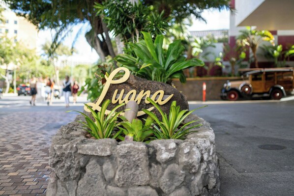 A stone planter with a sign that reads 'Luana' surrounded by green plants.