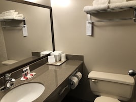 Combined shower/tub, free toiletries, hair dryer, towels