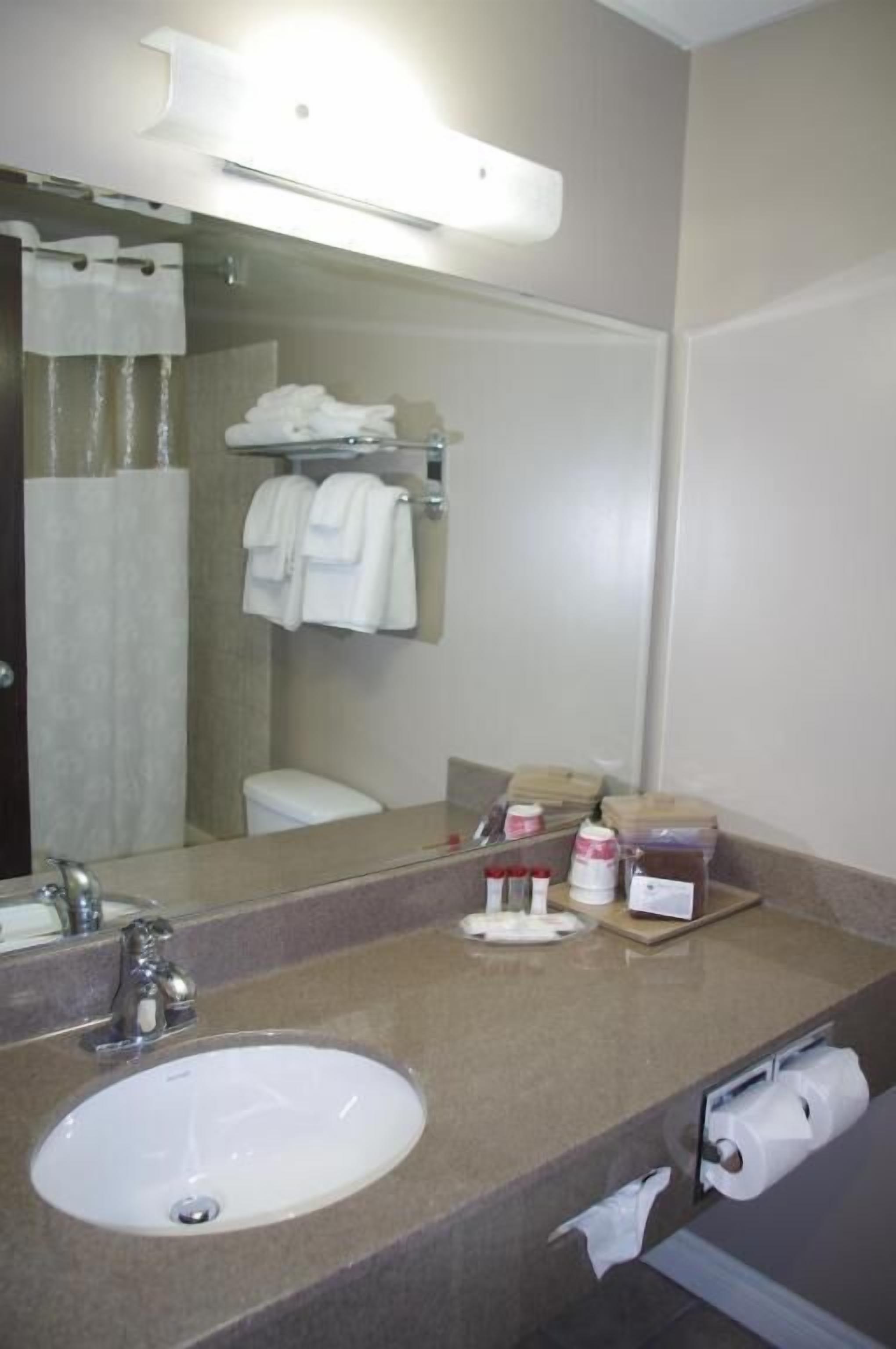 Une salle de bain équipée d’un lavabo, d’un miroir, d’un porte-serviettes et d’articles de toilette.