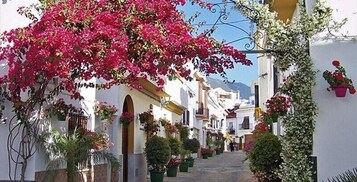 Una calle estrecha flanqueada por edificios blancos, algunos con balcones, y numerosas macetas con plantas y flores.
