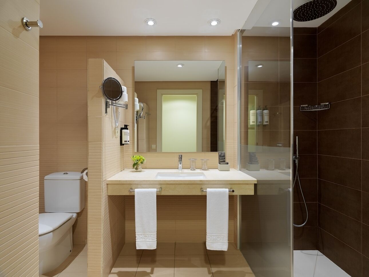 A modern bathroom with a glass-enclosed shower, a double sink, and a toilet.