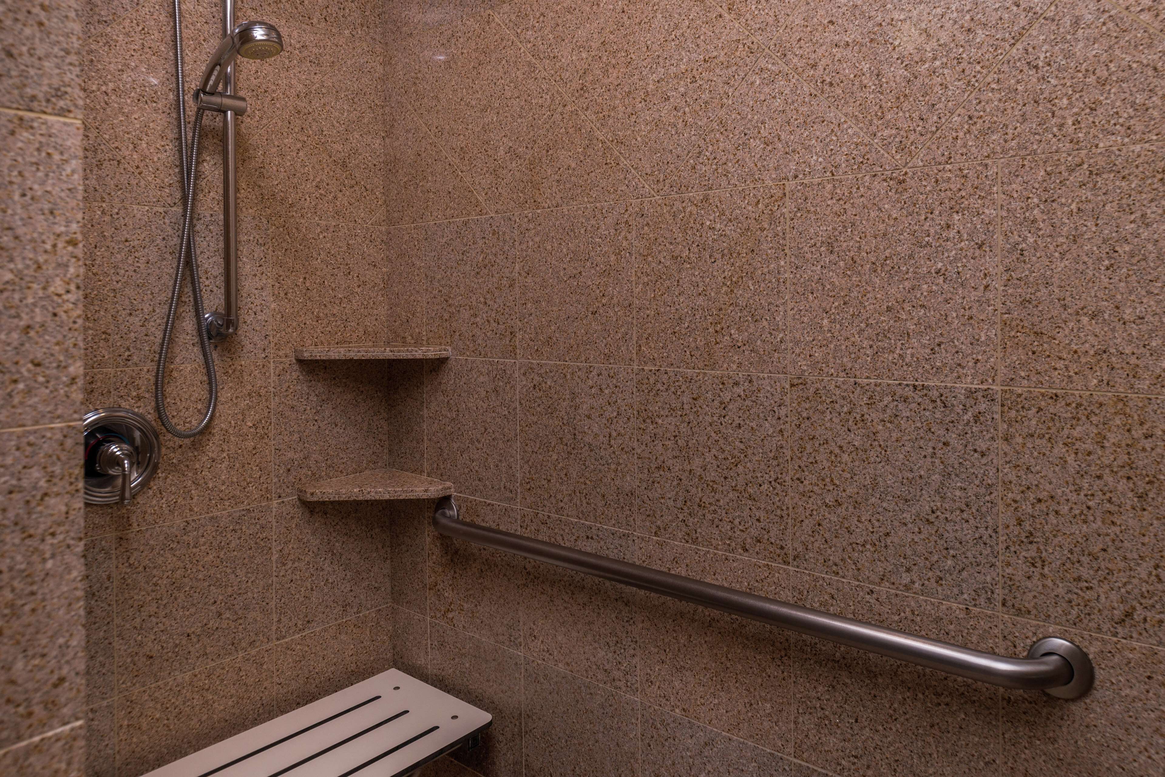 A shower area with a handheld showerhead, a grab bar, and a shelf.