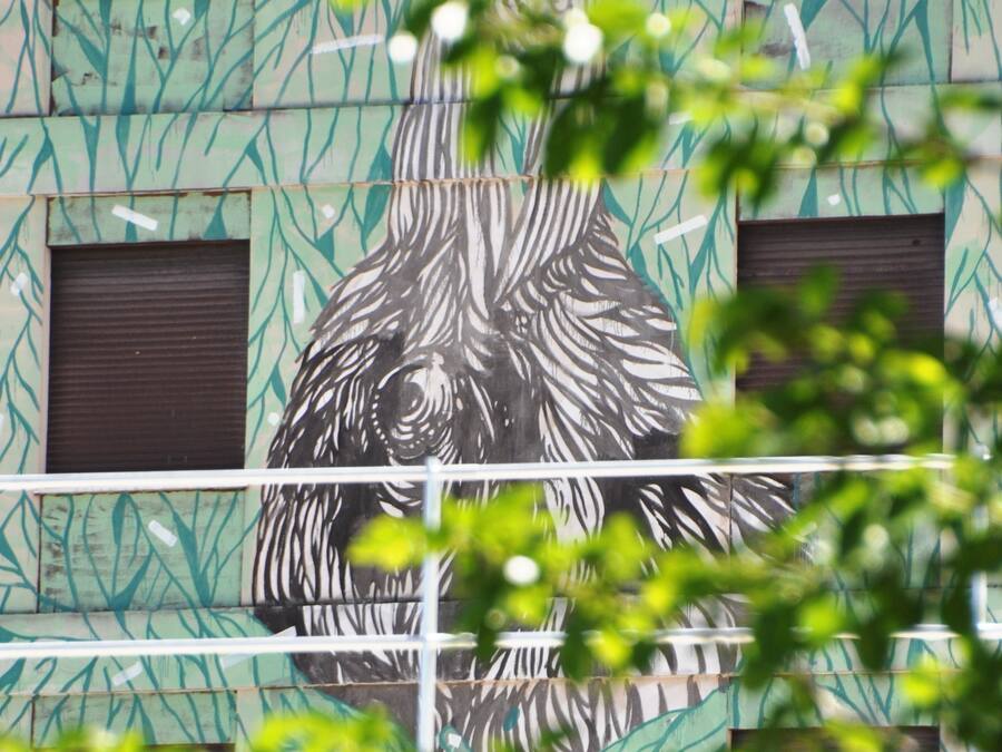 Une façade d’immeuble ornée d’une grande fresque représentant un oiseau, de nombreuses fenêtres et d’une rambarde en métal.