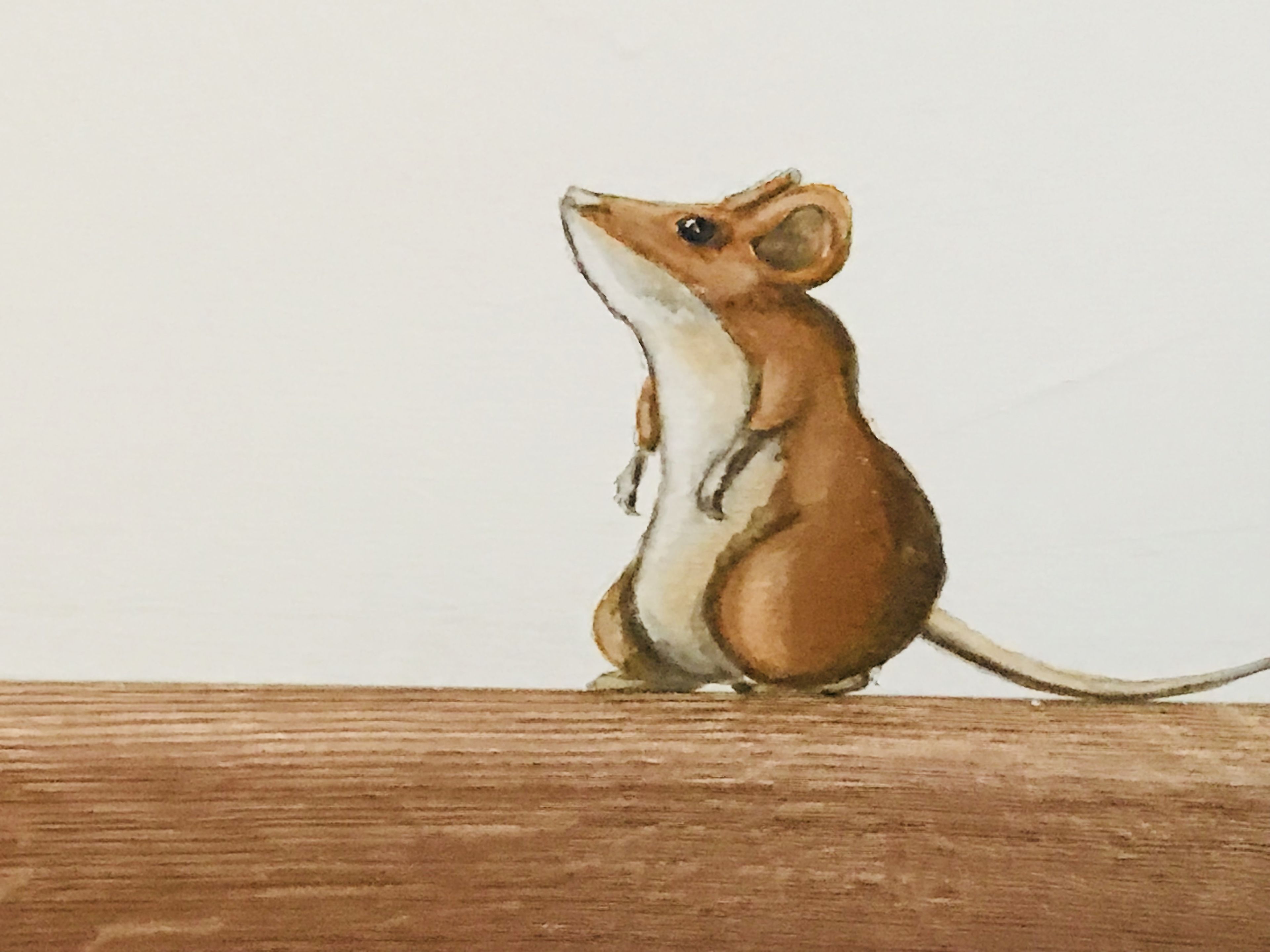 deluxe double or twin room | 1 bedroom, desk, laptop workspace, soundproofing