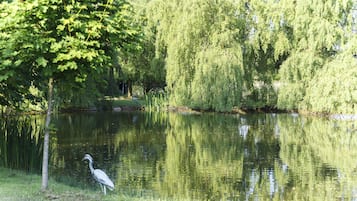 A serene pond with a weeping willow tree and a heron standing by the water's edge.